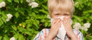 img-article-spring-allergies